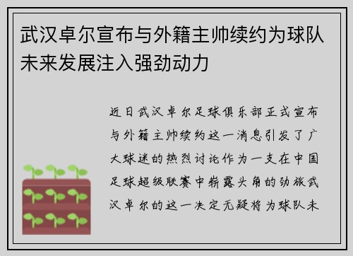 武汉卓尔宣布与外籍主帅续约为球队未来发展注入强劲动力